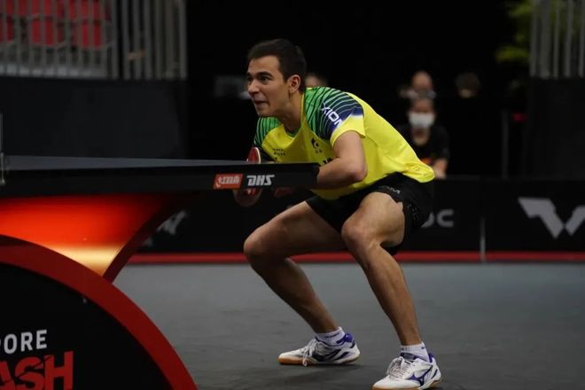 协会的官方 协会的官方