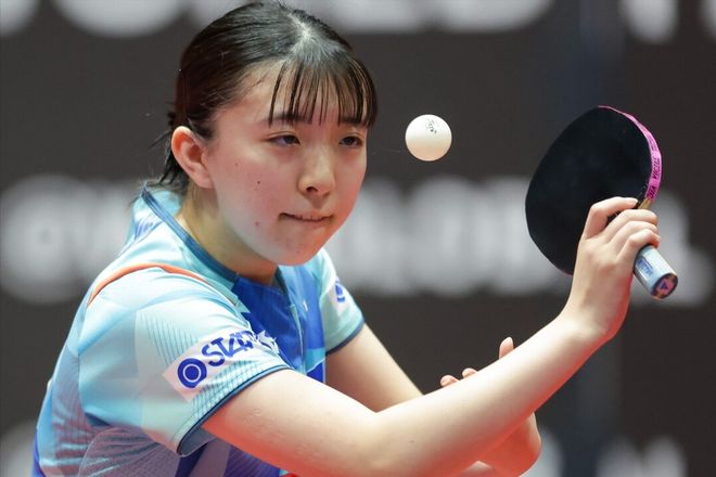 保护和修复 保护和修复