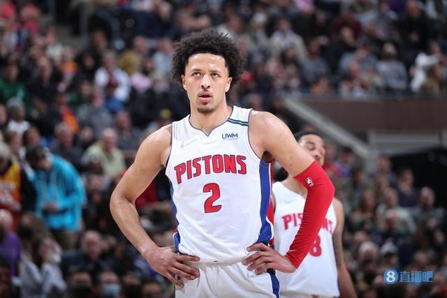 术多样性 术多样性