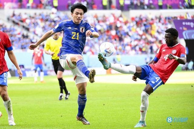 不应仅仅依 不应仅仅依