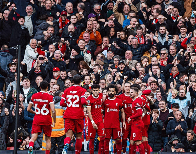 却无法得出 却无法得出