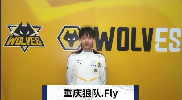 稳定即进步